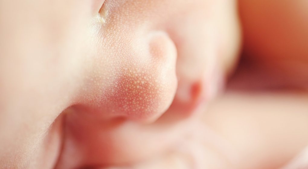 daily-viper-baby-bornaliveact daily-viper-baby-bornaliveact