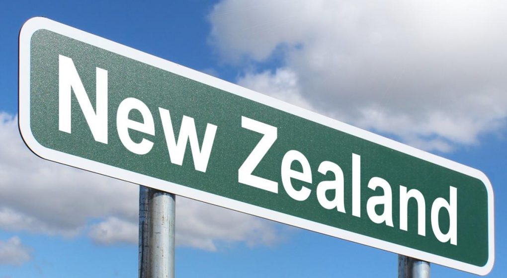daily-viper-new-zealand-gun-ban daily-viper-new-zealand-gun-ban